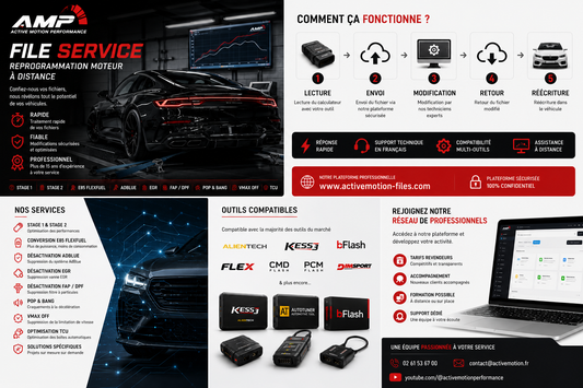 File Service Professionnel ECU & TCU – Reprogrammation Moteur à Distance
